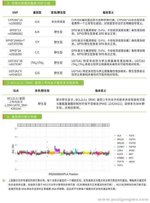 第二次基因检测8.jpg